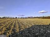 40455 Quarter Branch Road - Photo 12