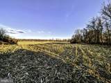 40455 Quarter Branch Road - Photo 4