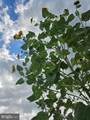 508 Crab Apple Drive - Photo 48