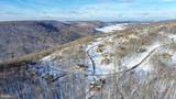 170 Fork Run Trail - Photo 5