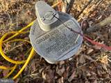  333 ASHTON WOODS - Photo 5