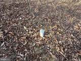  333 ASHTON WOODS - Photo 8
