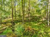 Vacant Land Cabin Branch Road - Photo 19