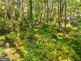 Vacant Land Cabin Branch Road - Photo 21