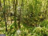 Vacant Land Cabin Branch Road - Photo 23