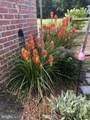 11910 Back Creek Road - Photo 72
