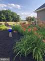 11910 Back Creek Road - Photo 74