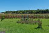 11910 Back Creek Road - Photo 87