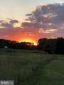 11910 Back Creek Road - Photo 90
