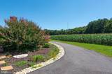 11910 Back Creek Road - Photo 96