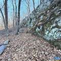 462 Deer Springs Ln - Photo 2