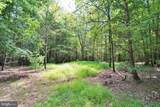  Alum Springs Road - Photo 16