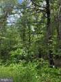  Alum Springs Road - Photo 19