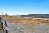 1720 Deep Run Road - Photo 64