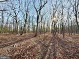  Snickerdoodle Lane - Photo 4