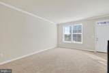 1023 Flester Lane - Photo 4