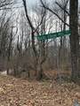 0 Bucks Elbow Mountain Rd - Photo 3