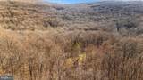 12804 Spruce Run Road - Photo 59