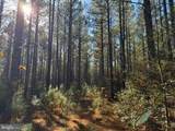0 Pole Run Rd - Photo 10