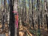 0 Pole Run Rd - Photo 13