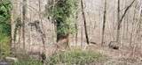 4200 Chesapeake Avenue - Photo 2