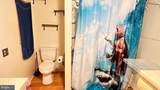 34051 Orchid Lane - Photo 15