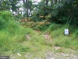  Native Trout Drive - Photo 4