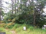  Native Trout Drive - Photo 5