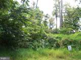  Native Trout Drive - Photo 6