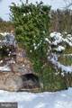 220 Dietrich Road - Photo 83