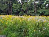 14183 Roberts Drive - Photo 45