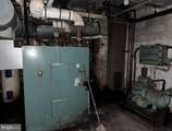 31 Shirley Street - Photo 26