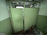 31 Shirley Street - Photo 39