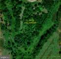 53 Acre lot on Jenny Lane - Photo 1