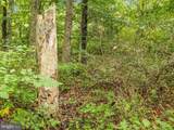 16015 Foxville Deerfield Road - Photo 10
