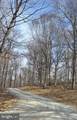 16015 Foxville Deerfield Road - Photo 4