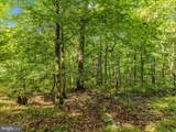 16015 Foxville Deerfield Road - Photo 8