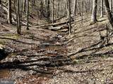 Lot 46 Pee Wee Lane - Photo 17