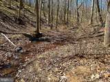 Lot 46 Pee Wee Lane - Photo 20