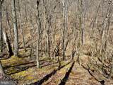 Lot 46 Pee Wee Lane - Photo 32