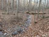 Lot 46 Pee Wee Lane - Photo 47