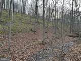Lot 46 Pee Wee Lane - Photo 49