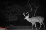 Lot 46 Pee Wee Lane - Photo 57