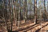 TBA Slate River Mill Rd - Photo 21