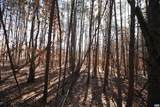 TBA Slate River Mill Rd - Photo 23