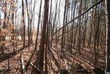 TBA Slate River Mill Rd - Photo 24