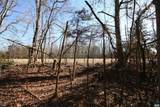 TBA Slate River Mill Rd - Photo 28