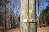 TBA Slate River Mill Rd - Photo 10