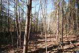 TBA Slate River Mill Rd - Photo 15