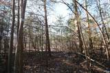 TBA Slate River Mill Rd - Photo 16